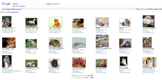 ricerca internet google immagini