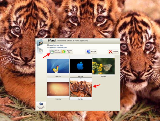 aggiunta immagine agli sfondi personalizzati